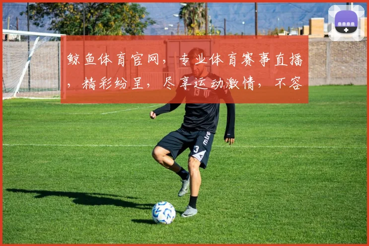 鲸鱼体育官网，专业体育赛事直播，精彩纷呈，尽享运动激情，不容错过