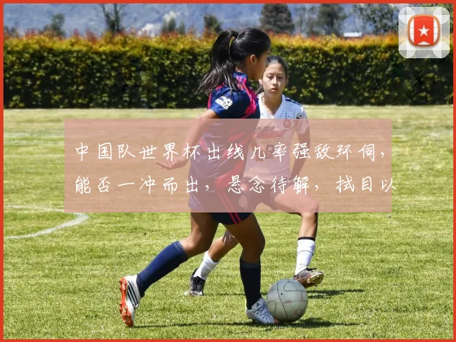 中国队世界杯出线几率强敌环伺，能否一冲而出，悬念待解，拭目以待