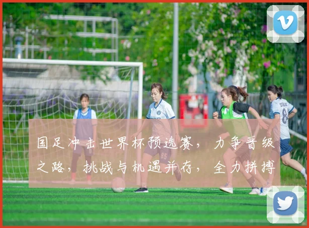 国足冲击世界杯预选赛，力争晋级之路，挑战与机遇并存，全力拼搏