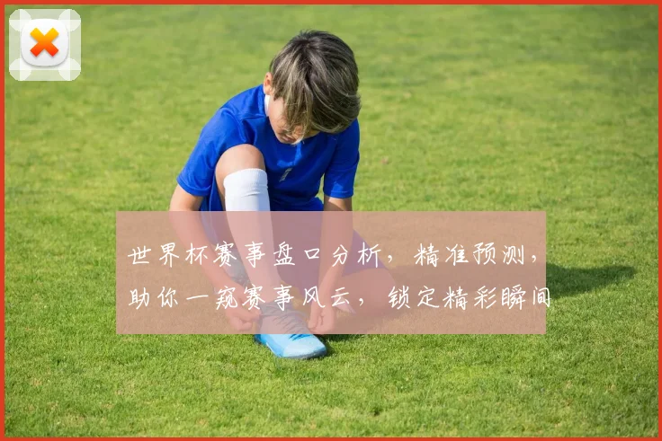 世界杯赛事盘口分析，精准预测，助你一窥赛事风云，锁定精彩瞬间，赢取丰厚回报