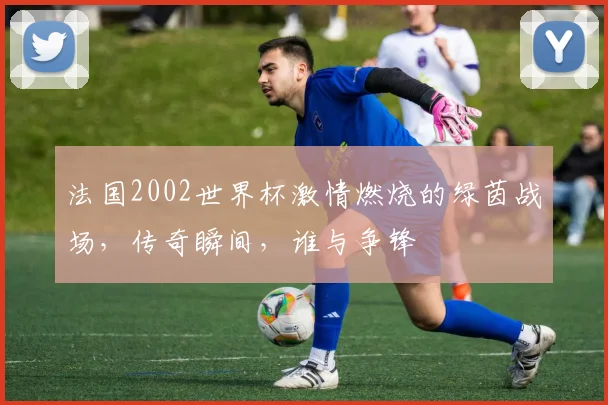 法国2002世界杯激情燃烧的绿茵战场，传奇瞬间，谁与争锋