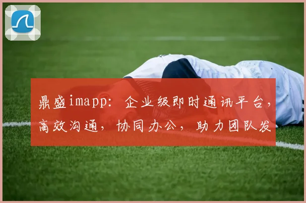 鼎盛imapp：企业级即时通讯平台，高效沟通，协同办公，助力团队发展，三重优势，一应俱全。