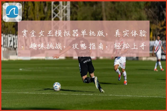 赏金女王模拟器单机版，真实体验，趣味挑战，攻略指南，轻松上手，玩转江湖，攻略分享，必备