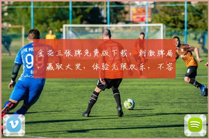 金花三张牌免费版下载，刺激牌局，赢取大奖，体验无限欢乐，不容错过