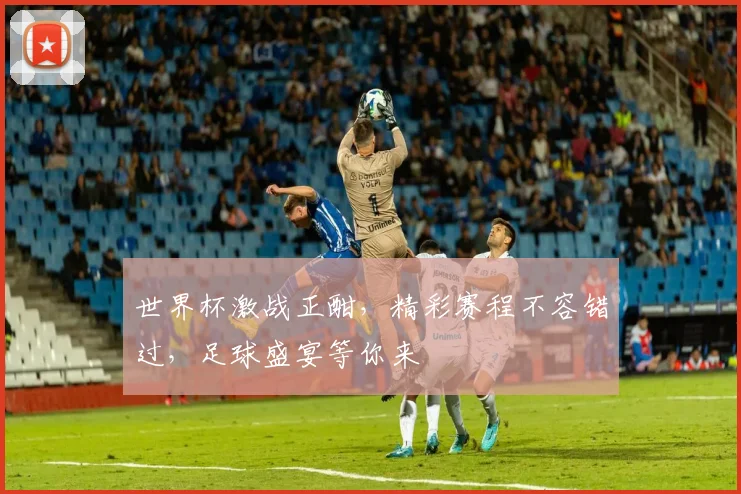 世界杯激战正酣，精彩赛程不容错过，足球盛宴等你来